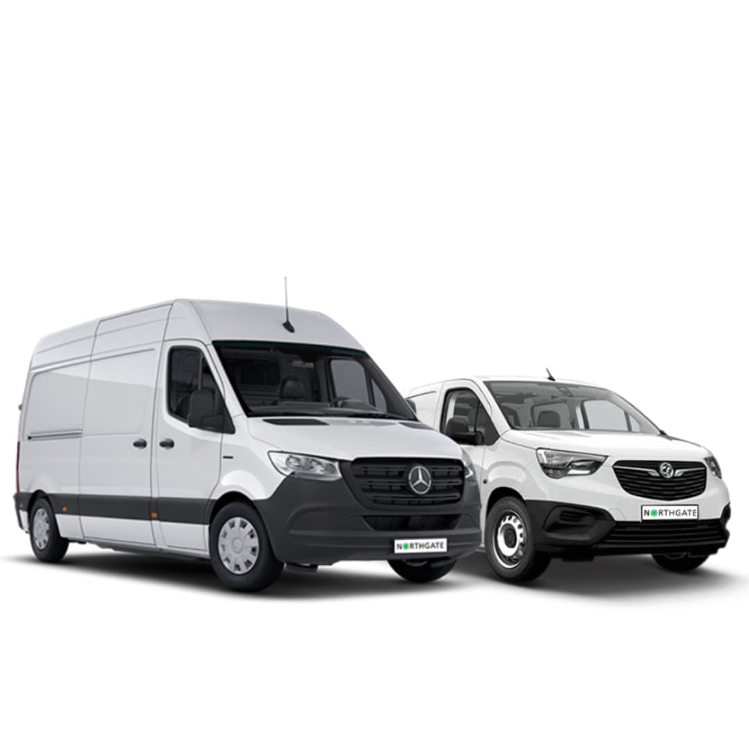 Untitled Design 10 (1)