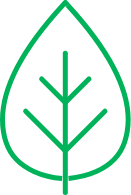 Eco Safe Driving